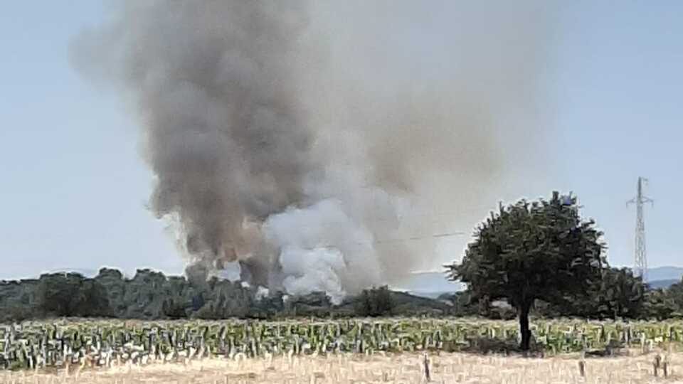 Çanakkale'de bir orman yangını daha!