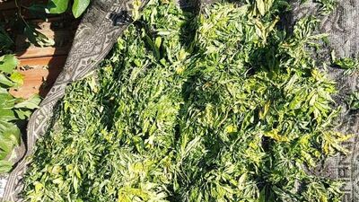 Kütahya'da uyuşturucu operasyonu