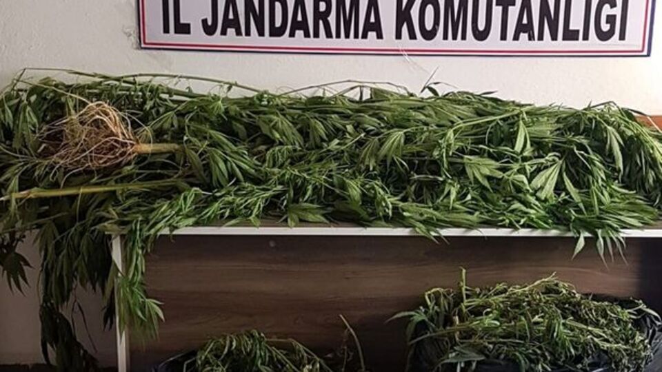 Samsun'da uyuşturucu operasyonu!