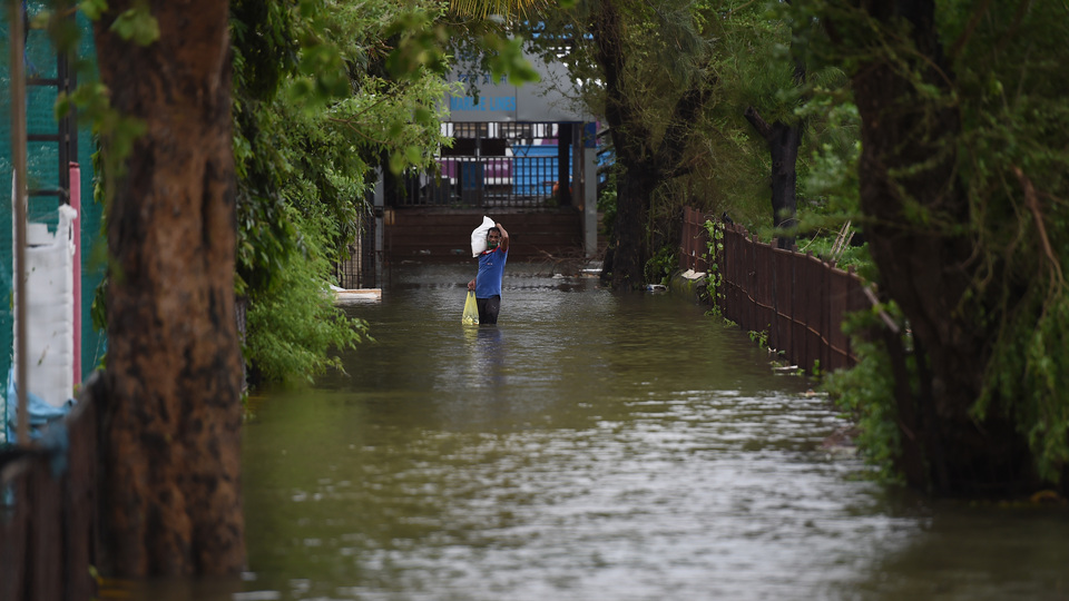 Hindistan'da şiddetli yağış: 15 ölü