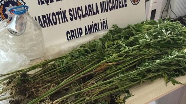 Samsun'da uyuşturucu operasyonu