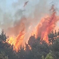 Kastamonu’da 200 hektarlık ormanlık alanda yangın!