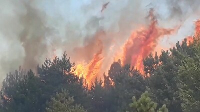 Kastamonu'da 200 hektarlık ormanlık alanda yangın!