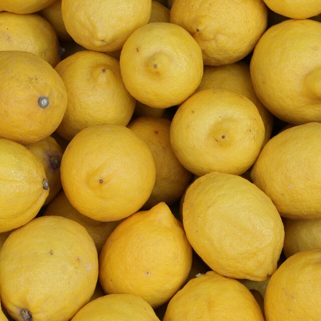 Limon ihracatı serbestleşti