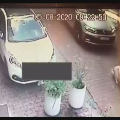 Göre göre! Köpeğe çarptı kaçtı!