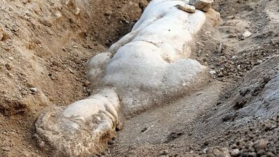 Bakanlık duyurdu... İzmir'de mitolojik varlık!