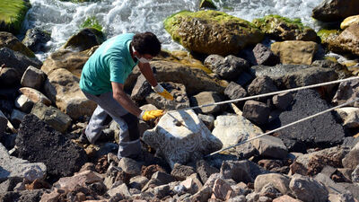 Sahilde fark edildi... İş makinesiyle çıkartıldı