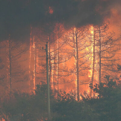 Bulgaristan-Türkiye sınırında yangın! Kontrol altına alınamıyor