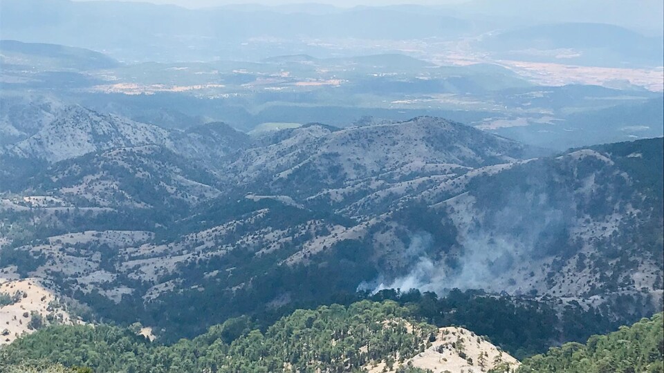 Muğla'da korkutan orman yangını!