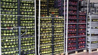 İhracatı pandemi dinlemedi