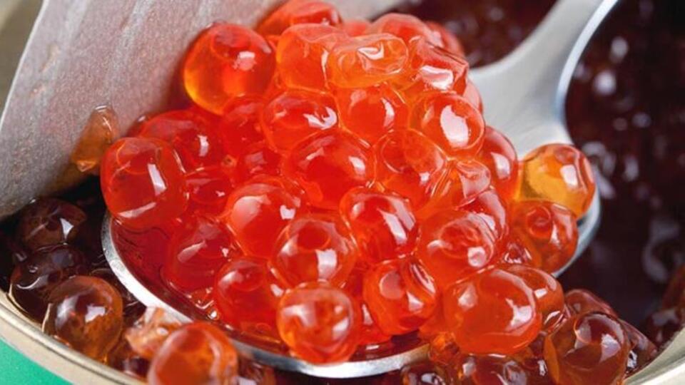 Havyar üretimi hakkında merak edilenler