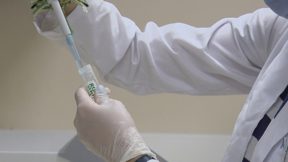 Yerli aşı için tarih verildi!