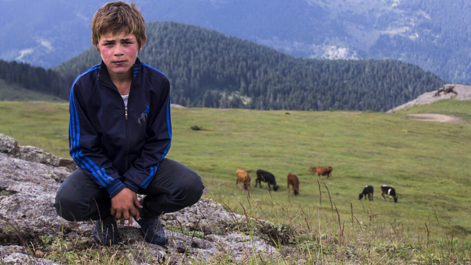 İletişim Başkanlığı'ndan Eren Bülbül'e özel klip