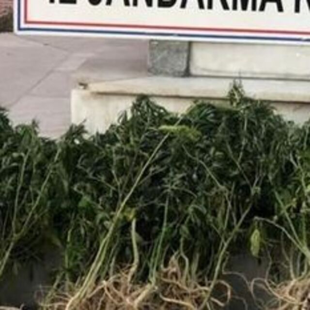 Manisa'da uyuşturucu operasyonu