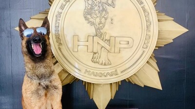 Zehir tacirlerine bir darbe daha!