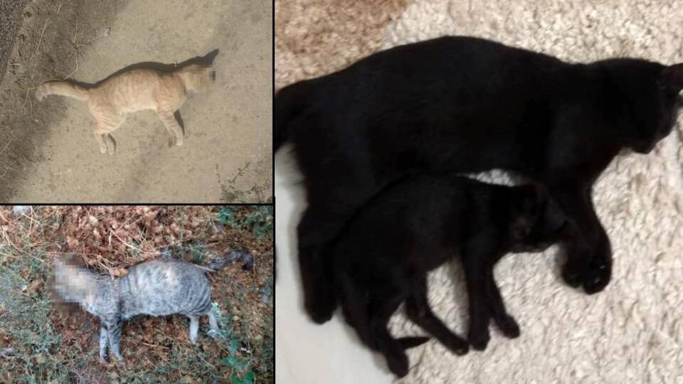 O ilçede iki ay sonra yine korkunç iddia!