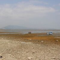 Ege'nin kuş cennetinde korkutan görüntü!