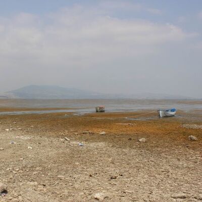 Ege'nin kuş cennetinde korkutan görüntü!