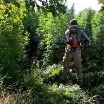 Örgüte dev uyuşturucu darbesi!