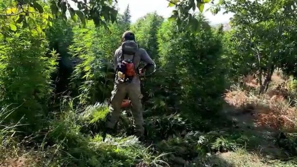 Örgüte dev uyuşturucu darbesi!