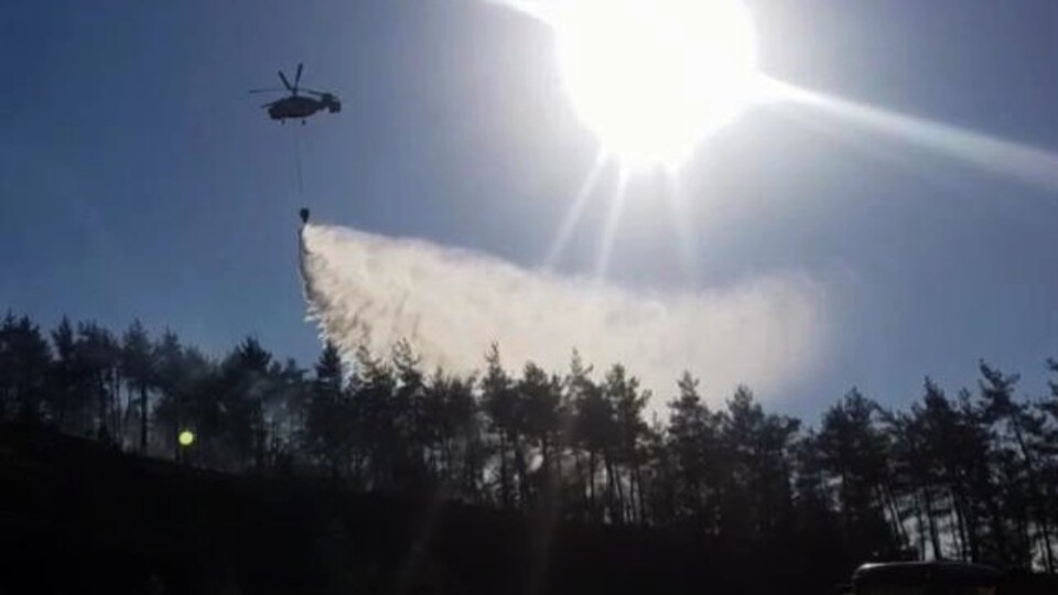 Sakarya'da bir orman yangını daha!