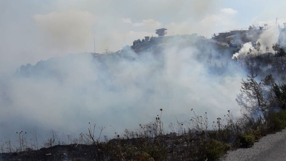 Hatay'da orman yangını!