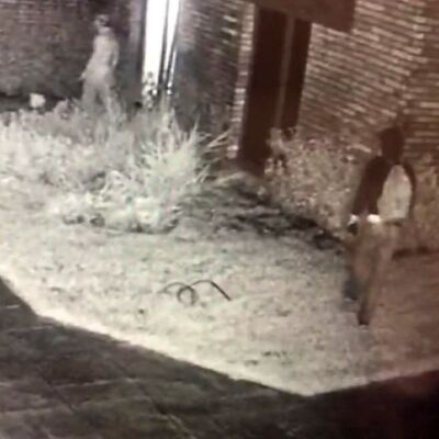 Yeni evli çifte akılalmaz şok! 200 bin TL'lik altın!