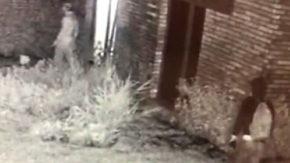 Yeni evli çifte akılalmaz şok! 200 bin TL'lik altın!