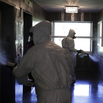 Tavukta Covid-19 tespit edildi!