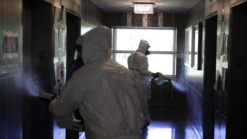 Tavukta Covid-19 tespit edildi!