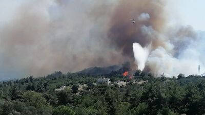 Ayvacık'ta zeytinlik alanda yangın çıktı