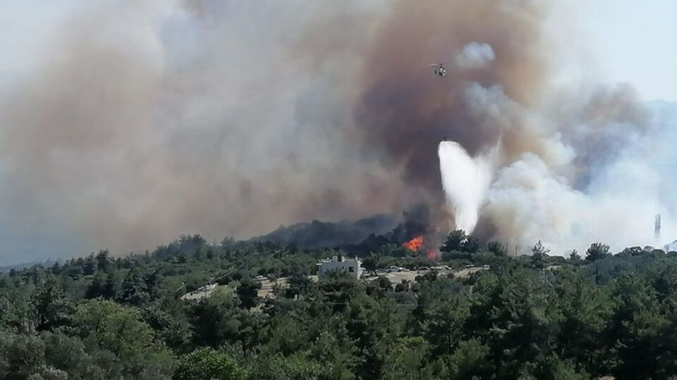 Ayvacık'ta zeytinlik alanda yangın çıktı