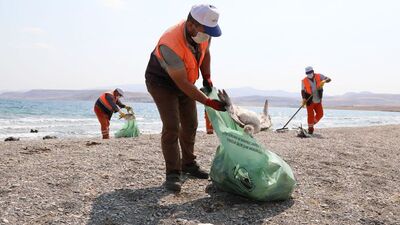 Van Gölü'ne martıların ölüm nedeni belli oldu!