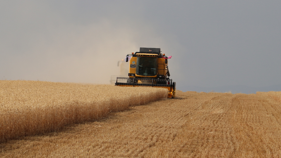 Tarım ÜFE temmuzda arttı