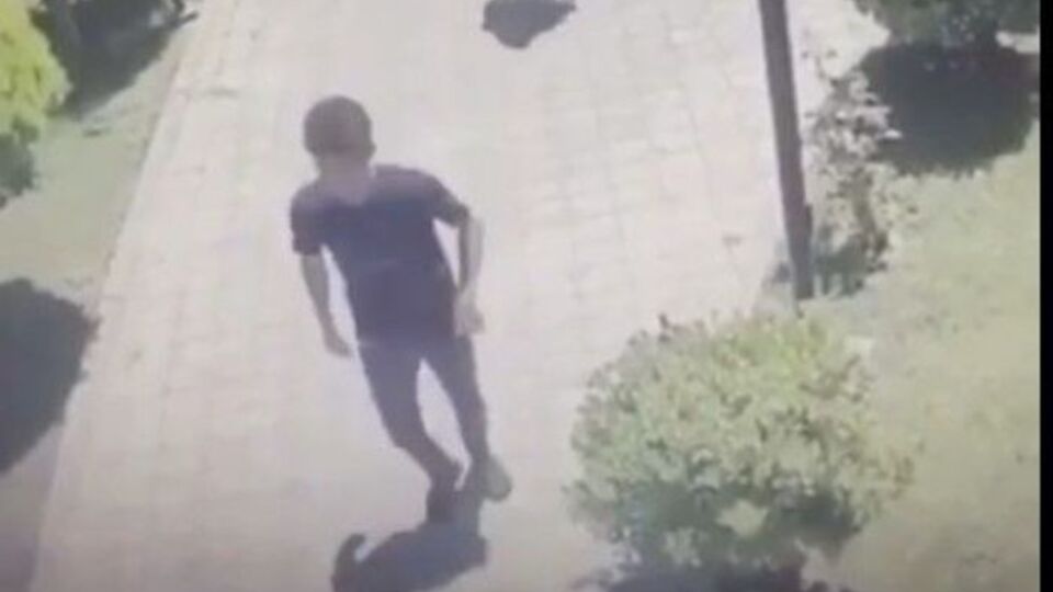 Mehmet Kaplan kimdir?