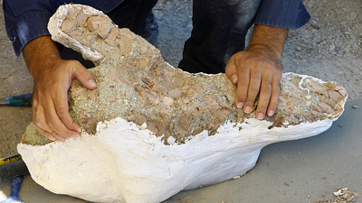 Büyük ve parçalanmamış... Kayseri'de çıkarıldı!