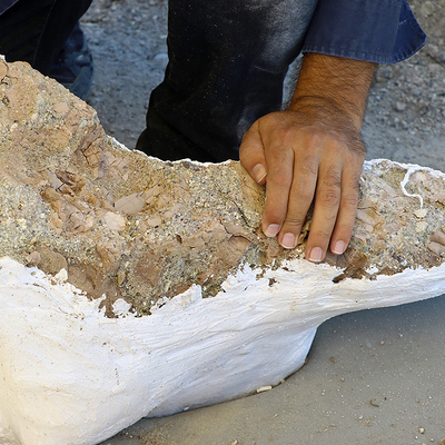 Büyük ve parçalanmamış... Kayseri'de çıkarıldı!