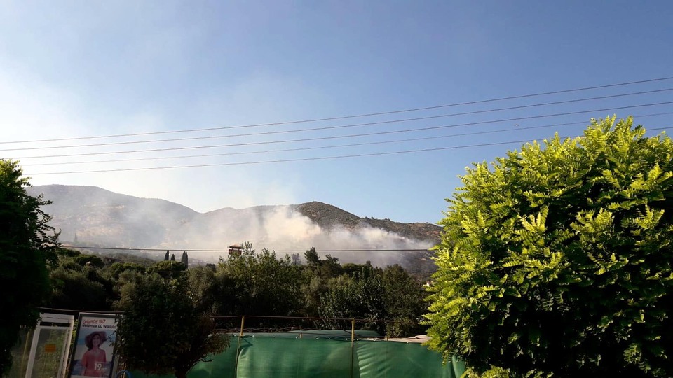 Evde çıkan yangın zeytinliğe sıçradı!