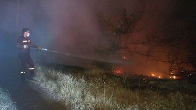 Başkent'te ormanlık alanda yangın