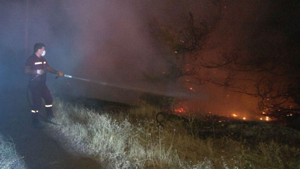 Başkent'te ormanlık alanda yangın