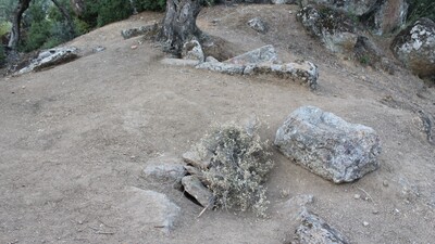 Yüzeyin hemen altından çıktı... O bölgede bir ilk!