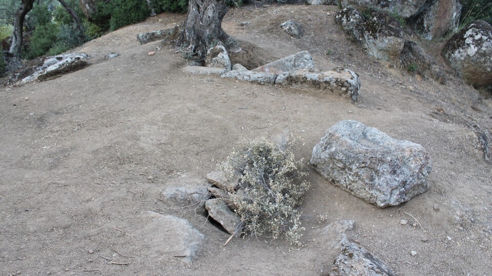 Yüzeyin hemen altından çıktı... O bölgede bir ilk!