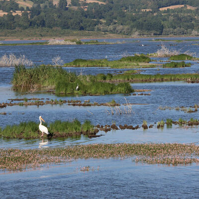 Yüzen adaları karaya oturdu, kuruyor mu?
