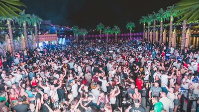 KKTC'de 'pes' dedirten 'virüs' partisi!