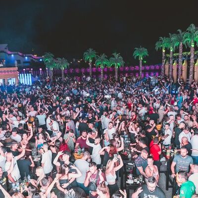 KKTC'de 'pes' dedirten 'virüs' partisi!