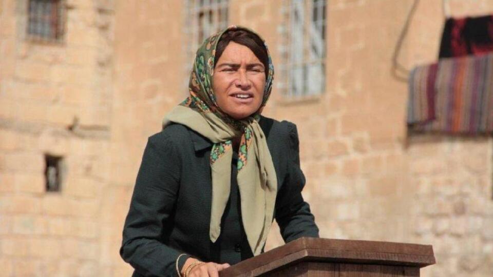 Hükümet Kadın oyuncuları ve konusu