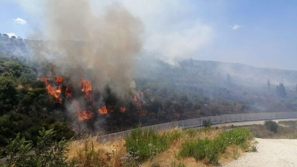 Hatay'da orman yangını