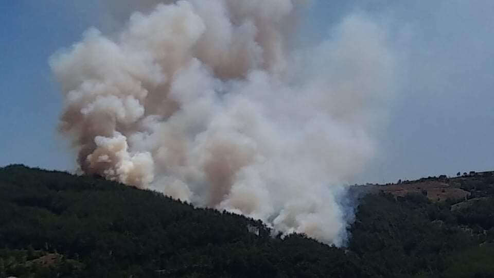 Adana'da korkutan orman yangını!