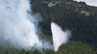 Aydos Ormanı'nda bir yangın daha!
