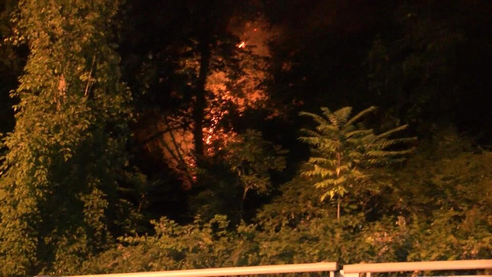 Emirgan Korusu'ndaki yangınla ilgili önemli gelişme!